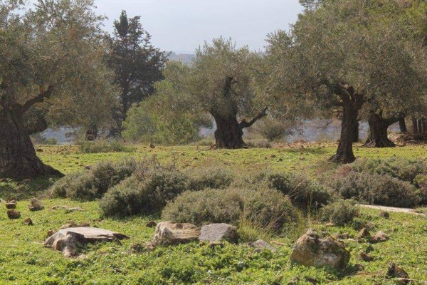  | موسوعة القرى الفلسطينية