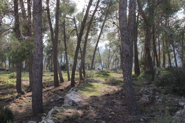  | موسوعة القرى الفلسطينية