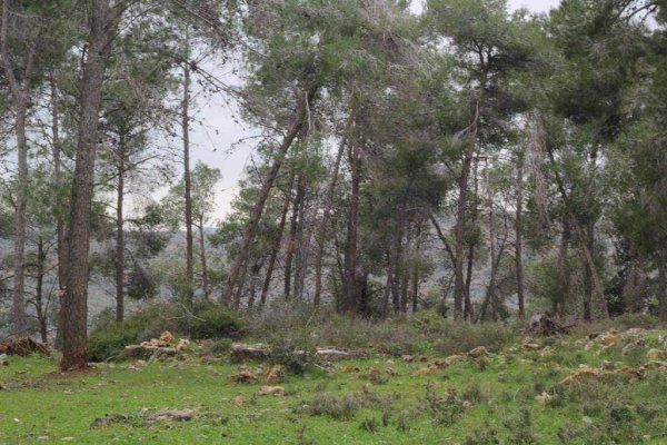  | موسوعة القرى الفلسطينية