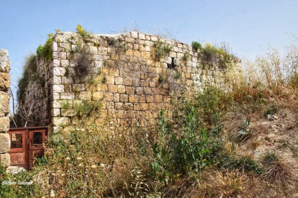  | موسوعة القرى الفلسطينية