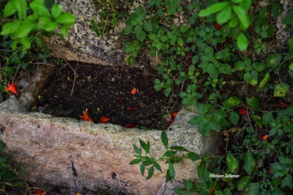  | موسوعة القرى الفلسطينية