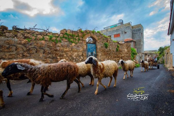 | موسوعة القرى الفلسطينية  | موسوعة القرى الفلسطينية