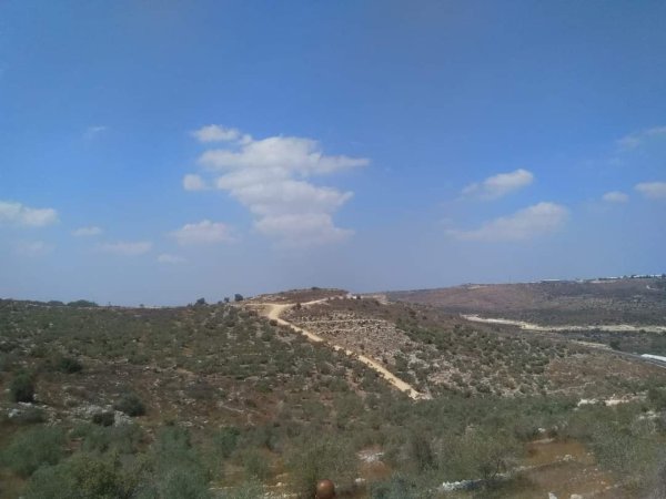 | موسوعة القرى الفلسطينية  | موسوعة القرى الفلسطينية