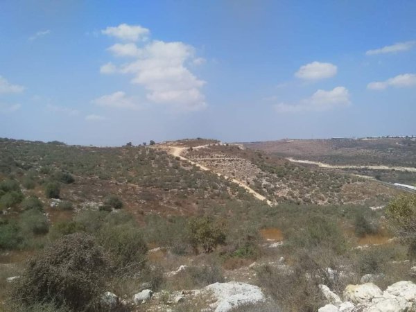 | موسوعة القرى الفلسطينية  | موسوعة القرى الفلسطينية