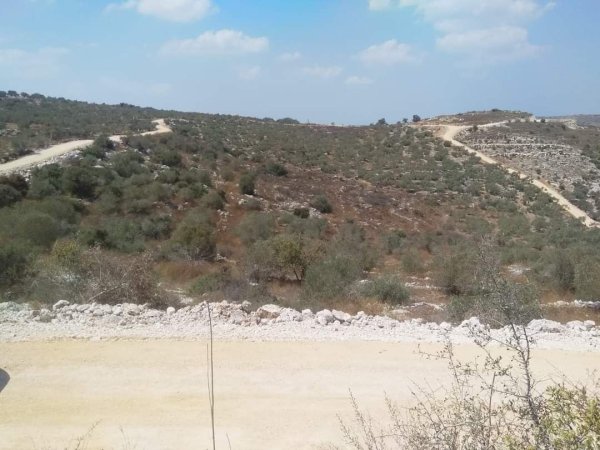 | موسوعة القرى الفلسطينية  | موسوعة القرى الفلسطينية