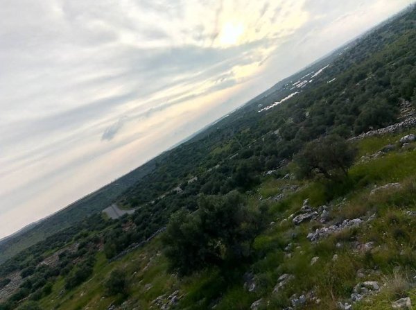 | موسوعة القرى الفلسطينية  | موسوعة القرى الفلسطينية
