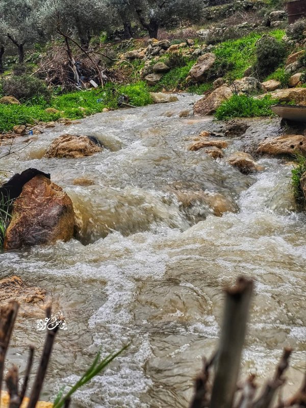  | موسوعة القرى الفلسطينية