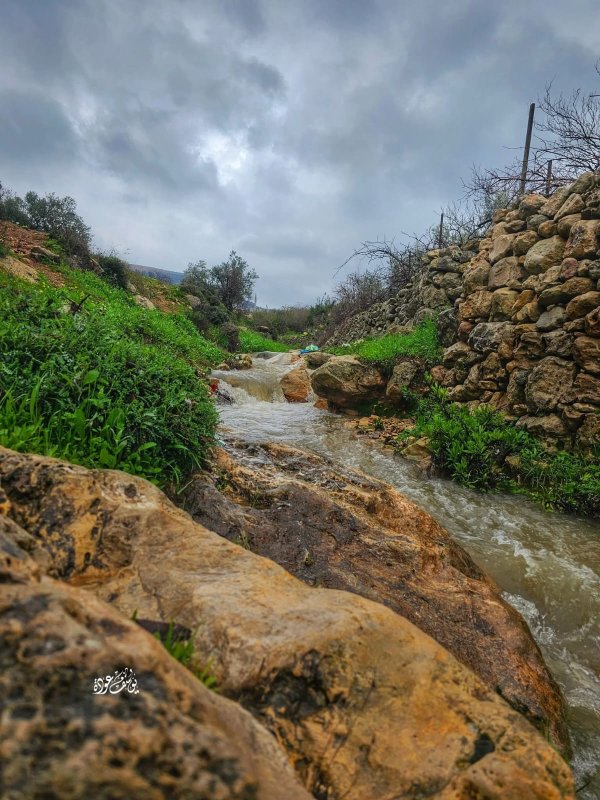  | موسوعة القرى الفلسطينية