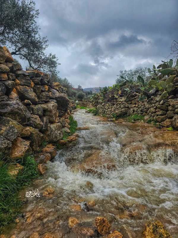  | موسوعة القرى الفلسطينية