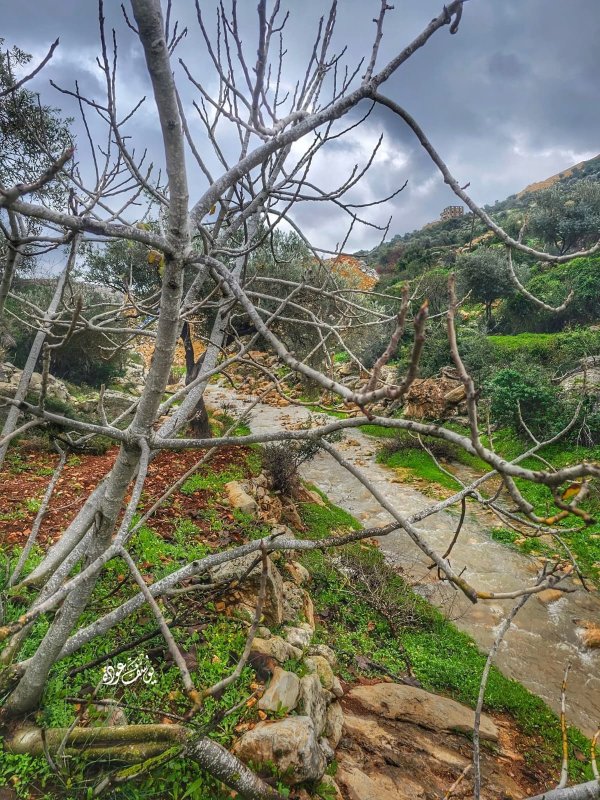  | موسوعة القرى الفلسطينية