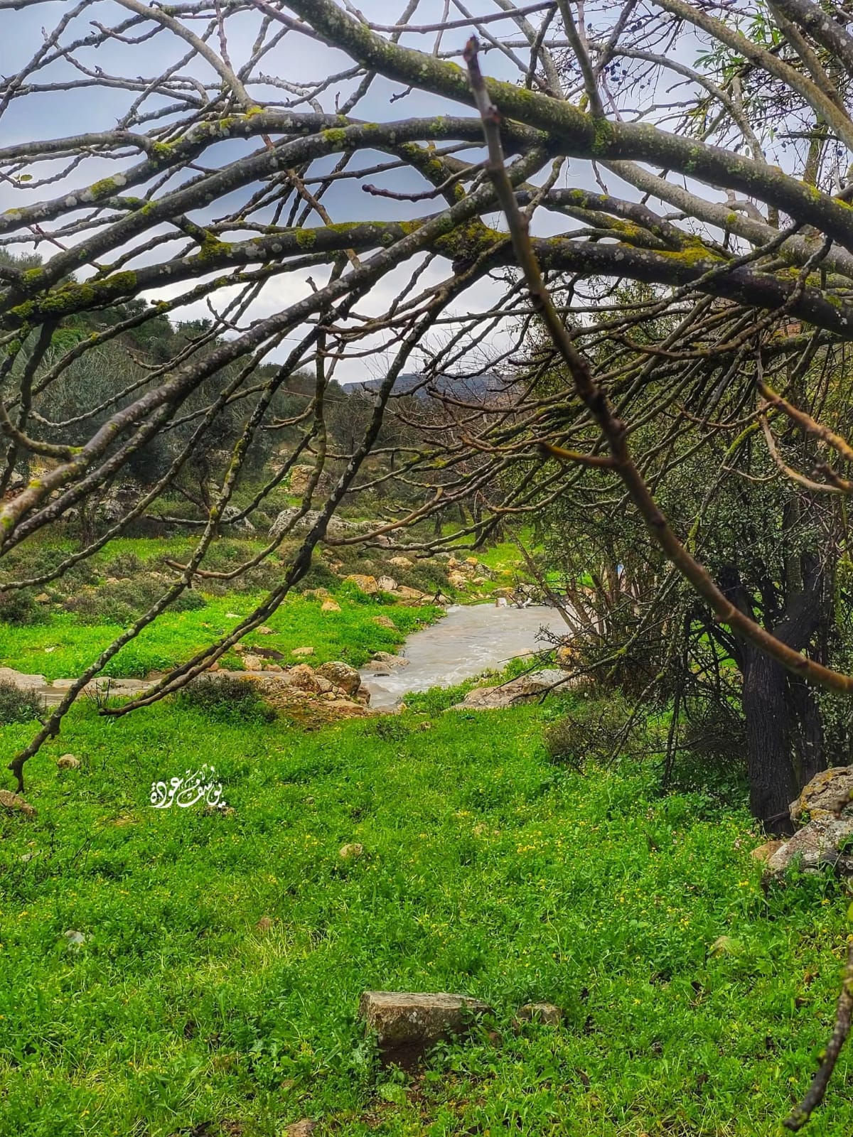  | موسوعة القرى الفلسطينية