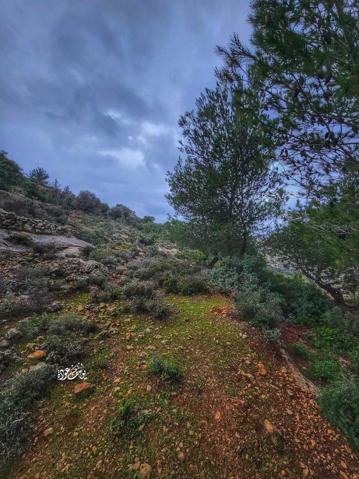  | موسوعة القرى الفلسطينية