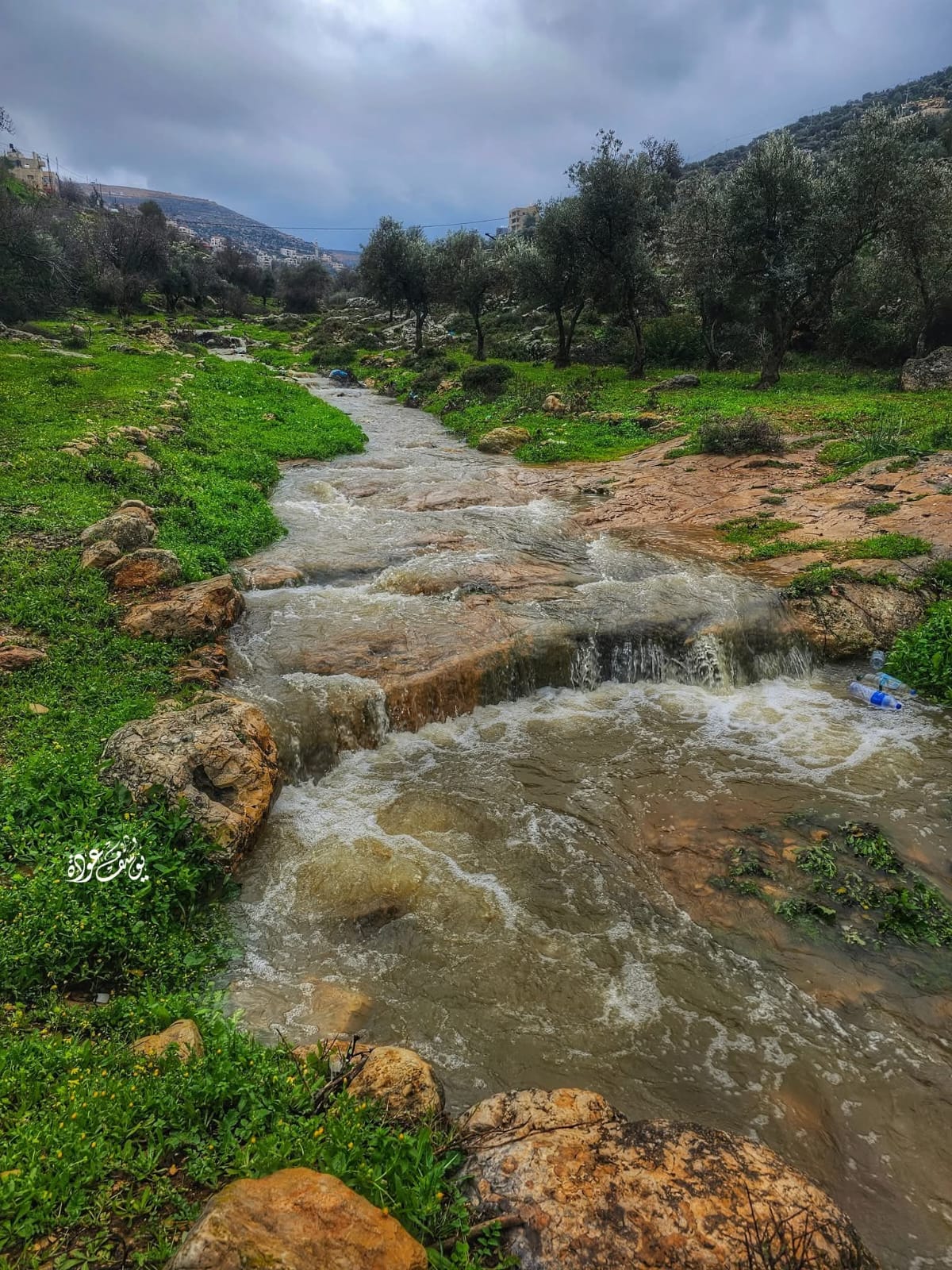  | موسوعة القرى الفلسطينية