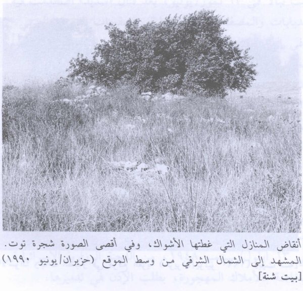 قرية بيت شنه / الرملة