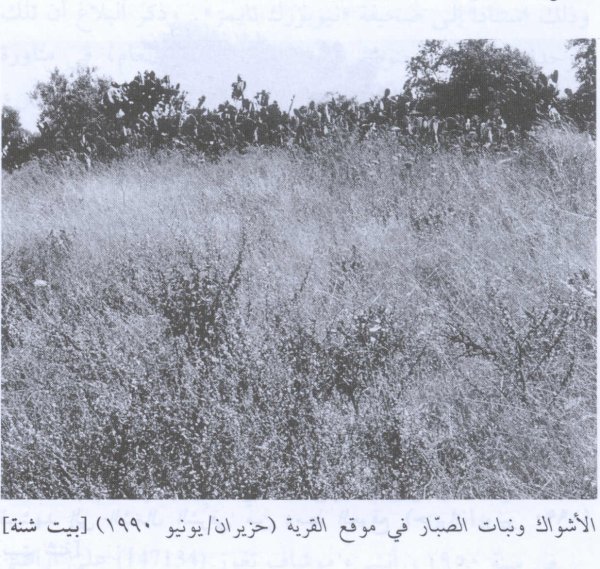 منظر للقرية عام 1990 بعد احتلالها وتهجير سكانها