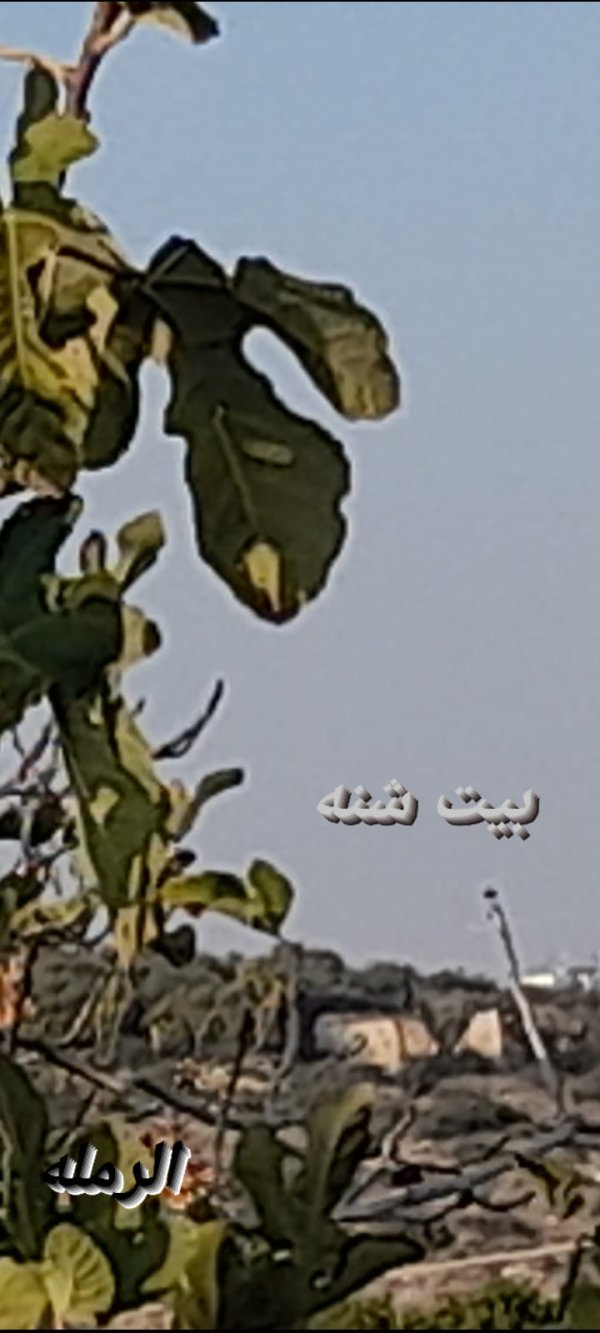  | موسوعة القرى الفلسطينية