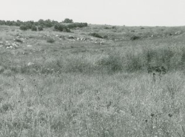 قرية بيت شنه / الرملة