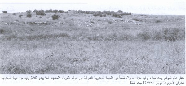 قرية بيت شنه / الرملة