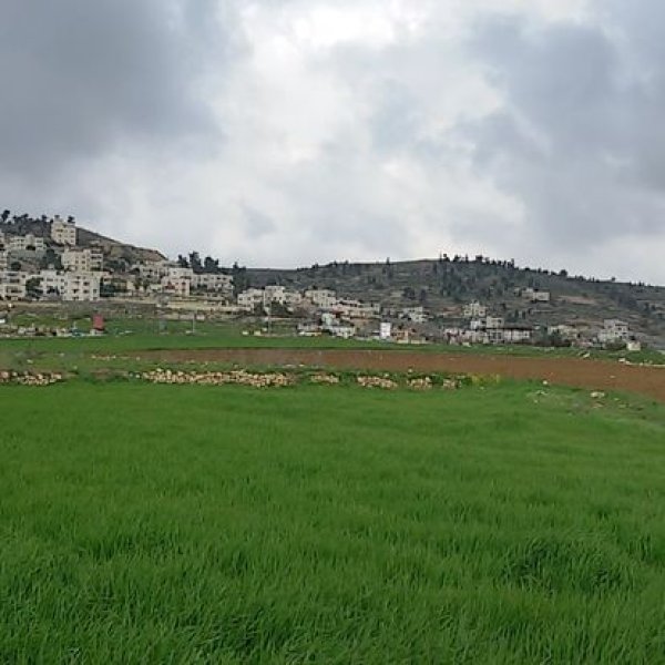  | موسوعة القرى الفلسطينية