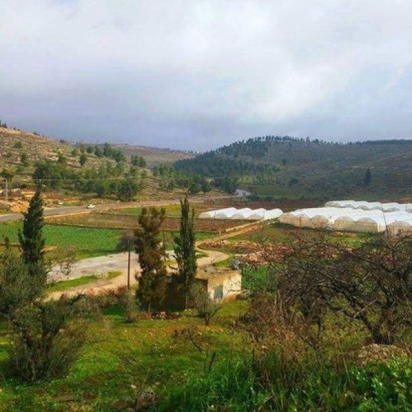  | موسوعة القرى الفلسطينية