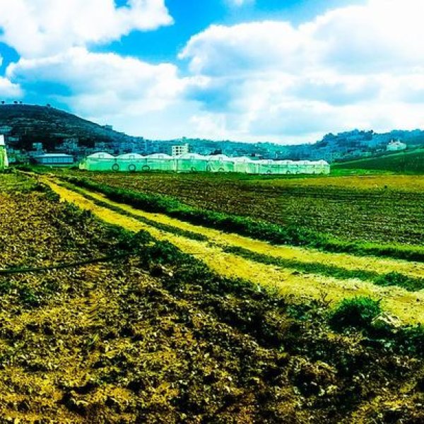  | موسوعة القرى الفلسطينية