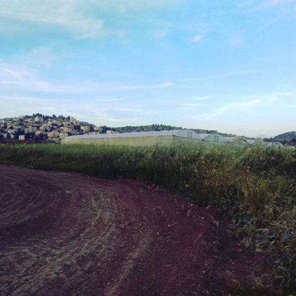  | موسوعة القرى الفلسطينية