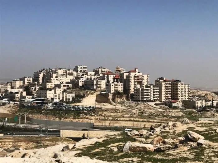 الزعيم / تجمع  | موسوعة القرى الفلسطينية