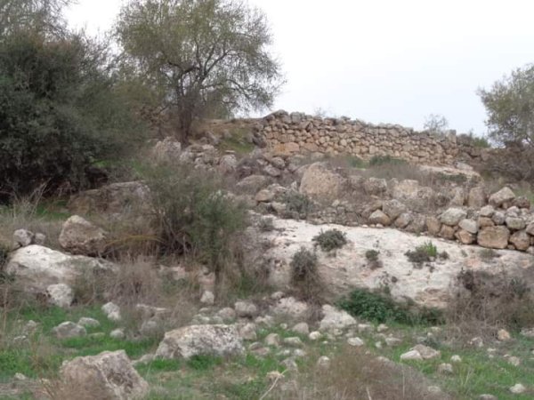 | موسوعة القرى الفلسطينية  | موسوعة القرى الفلسطينية