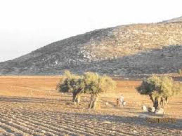 | موسوعة القرى الفلسطينية  | موسوعة القرى الفلسطينية