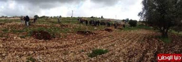 قرية الطرم أو خربة الطرم شمالي مدينة يعبد غربي جنين