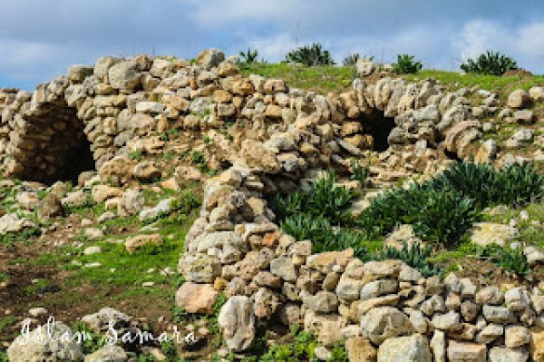  | موسوعة القرى الفلسطينية