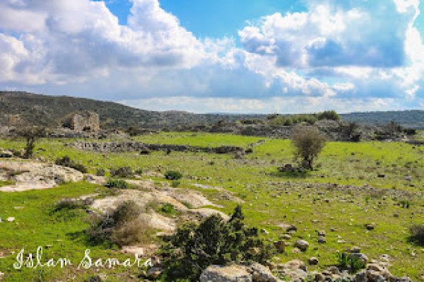  | موسوعة القرى الفلسطينية