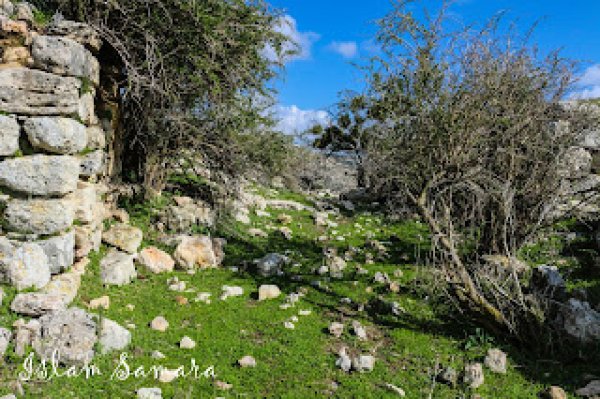  | موسوعة القرى الفلسطينية