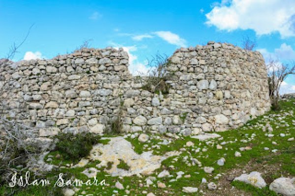  | موسوعة القرى الفلسطينية