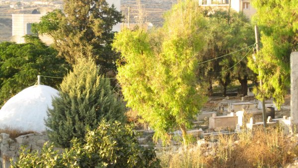  | موسوعة القرى الفلسطينية