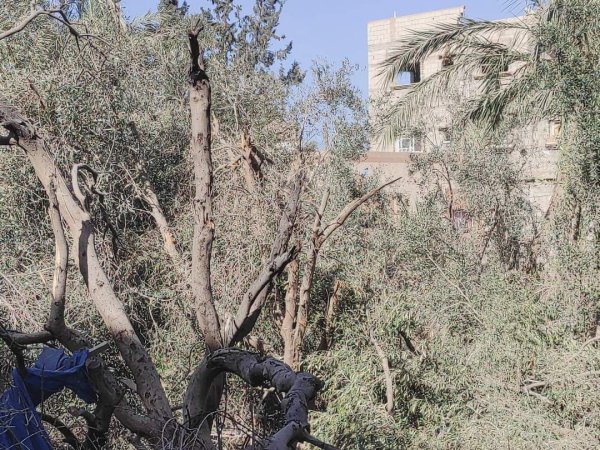  | موسوعة القرى الفلسطينية