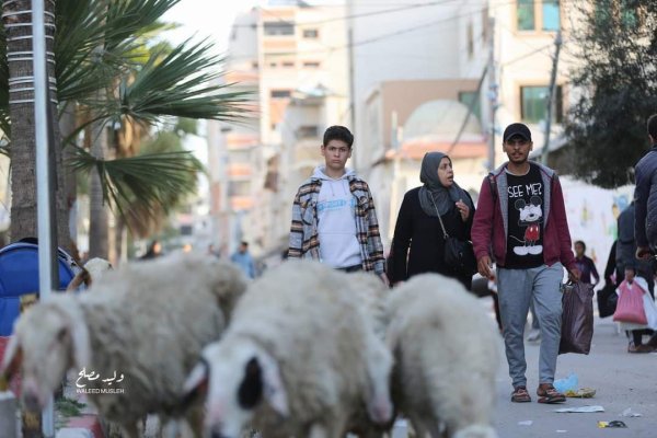  | موسوعة القرى الفلسطينية