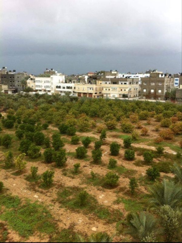  | موسوعة القرى الفلسطينية