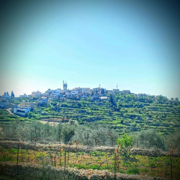  | موسوعة القرى الفلسطينية