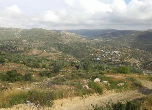  | موسوعة القرى الفلسطينية