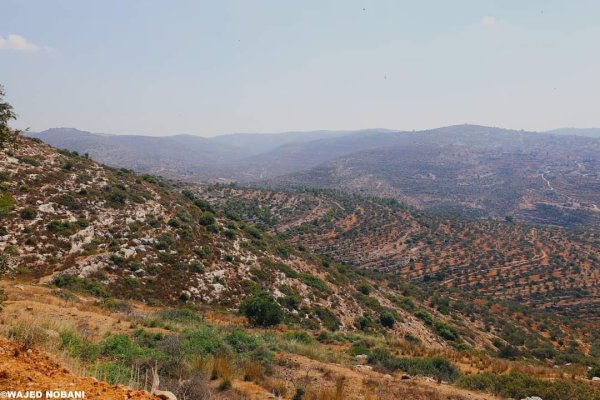  | موسوعة القرى الفلسطينية