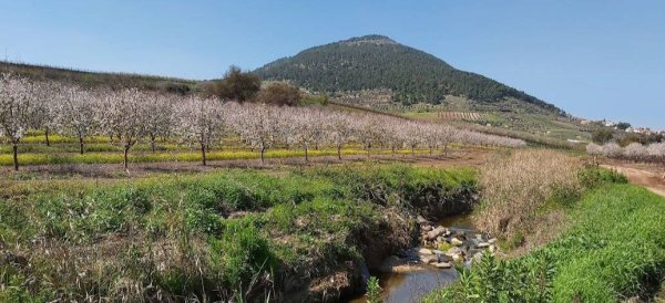  | موسوعة القرى الفلسطينية