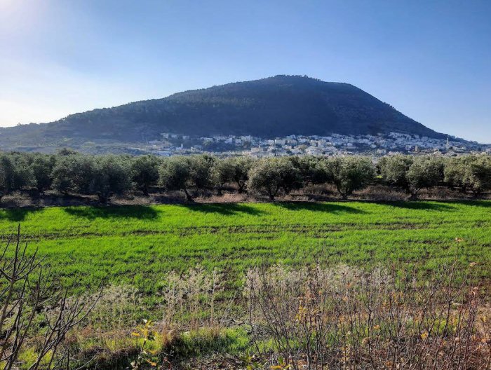 مَسّحَة  | موسوعة القرى الفلسطينية