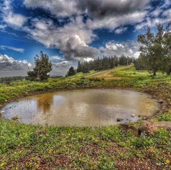  | موسوعة القرى الفلسطينية