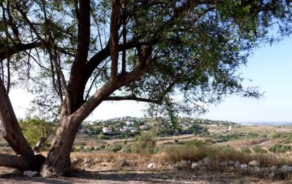  | موسوعة القرى الفلسطينية