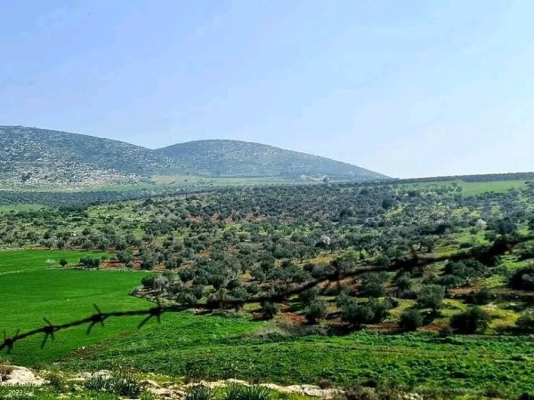 من الكفير وسهل رابا والزبابده، بعدسة: أ. امين خراز