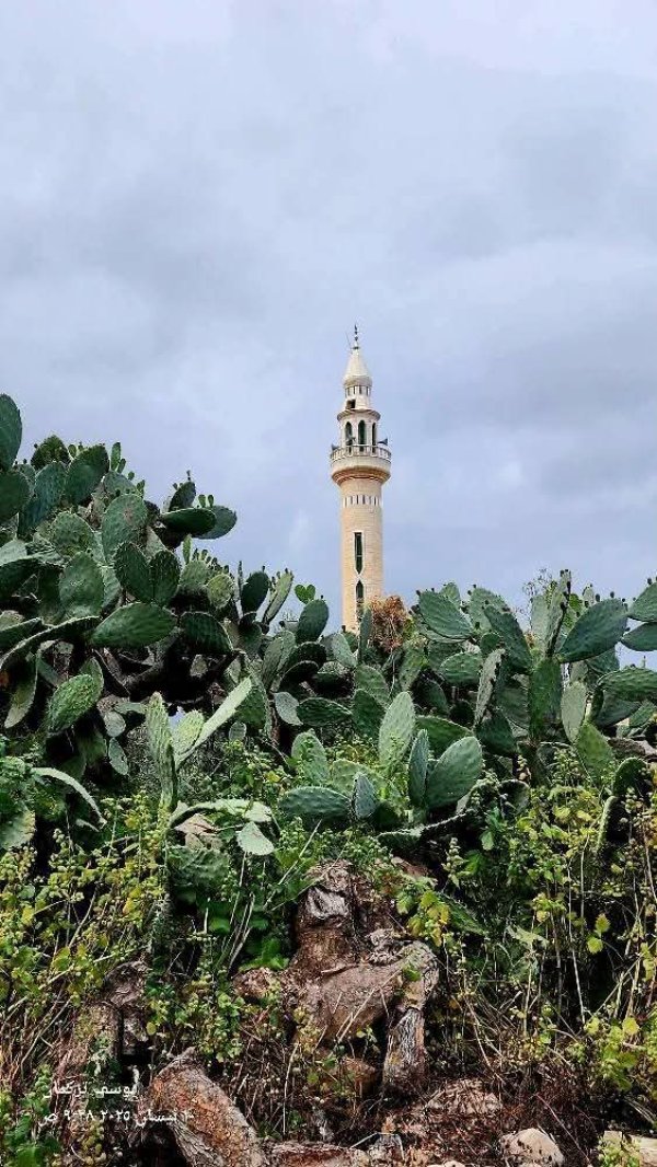 من قرية المطلة شرق جنين تصوير يوسف تركمان