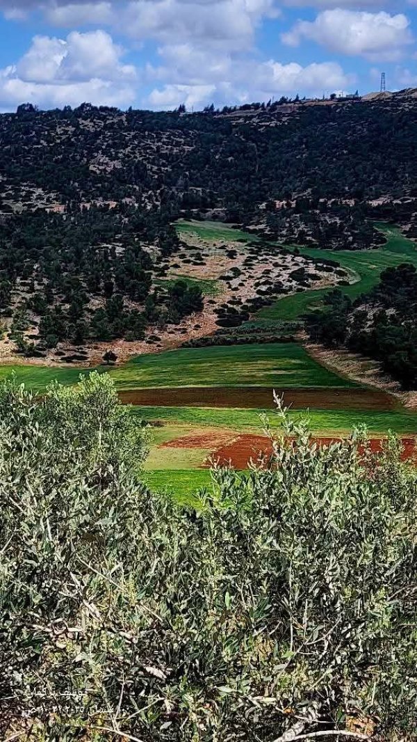 من قرية المطلة شرق جنين تصوير يوسف تركمان