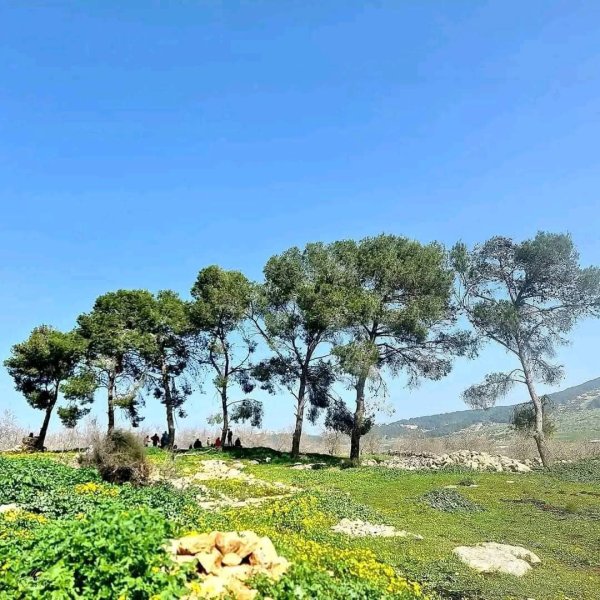 من الكفير وسهل رابا والزبابده، بعدسة: أ. امين خراز