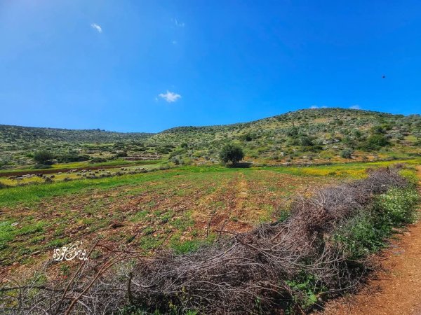 صور حديثة من منطقة وادي شوباش بين قريتي المغير ورابا، بعدسة: أ. يوسف عودة